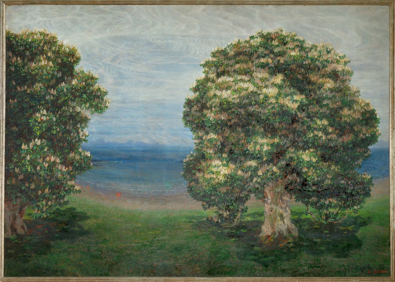  作者 埃米莉·梅迪兹·鹈鹕