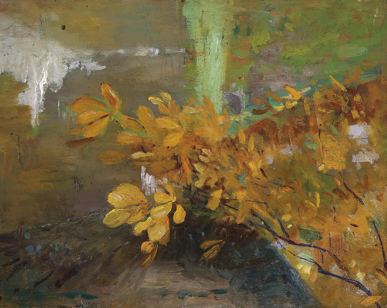 P1476,de 作者 埃米莉·梅迪兹·鹈鹕