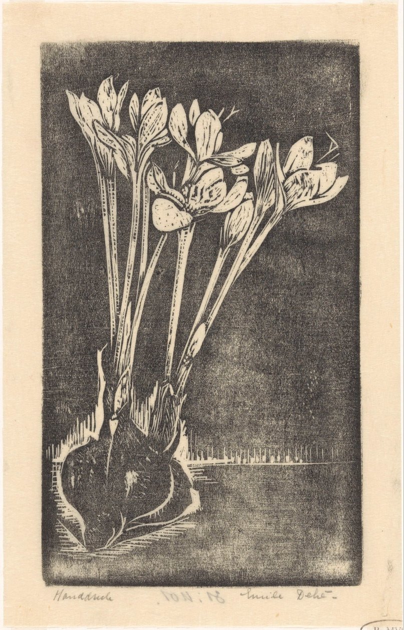 秋番红花 作者 Emilius Wilhelmus Dehé（艺术家签名）