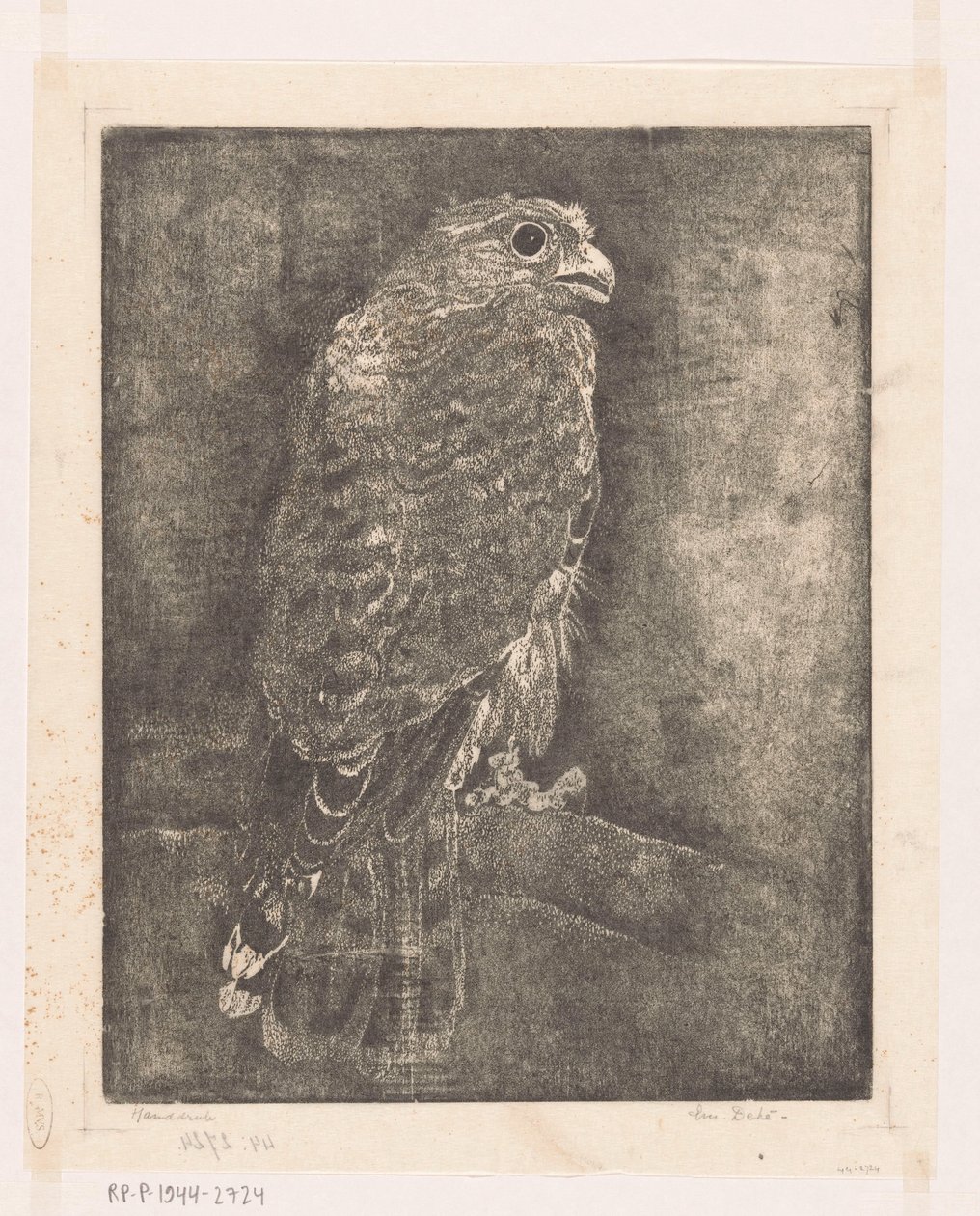 树枝上的猎鹰 作者 Emilius Wilhelmus Dehé（艺术家签名）