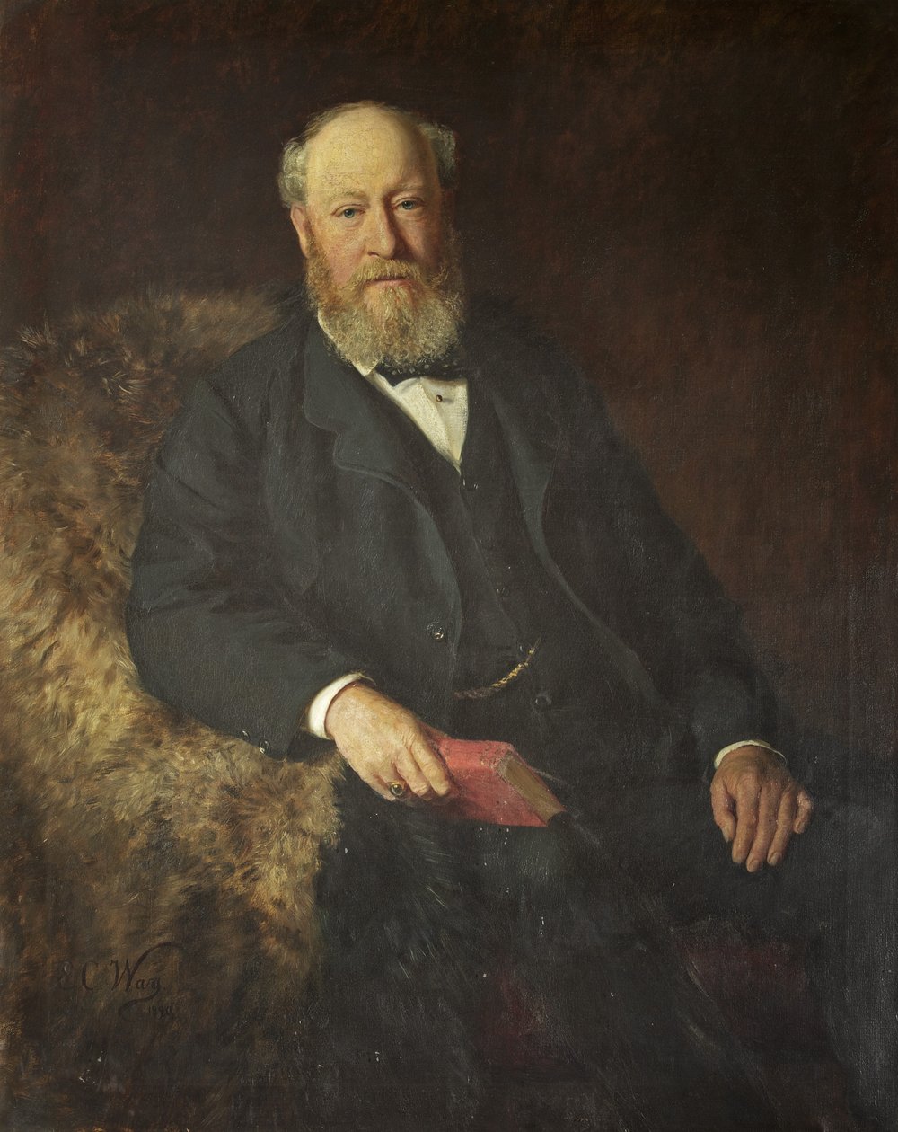 J. H. Greville Smyth 爵士 作者 艾米丽 C 路