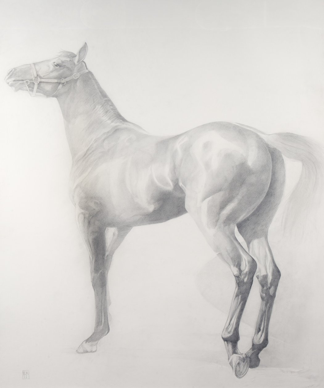 启动，系列3，2011年（纸上石墨） 作者 艾玛·肯纳威（Emma Kennaway）
