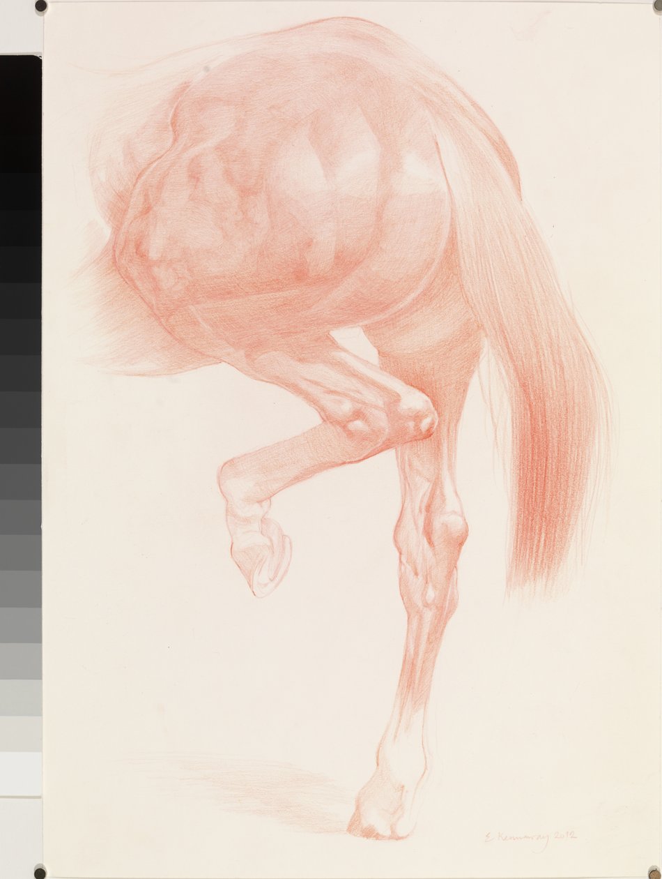 开始，系列4，2012年（纸上的红色粉笔） 作者 艾玛·肯纳威（Emma Kennaway）