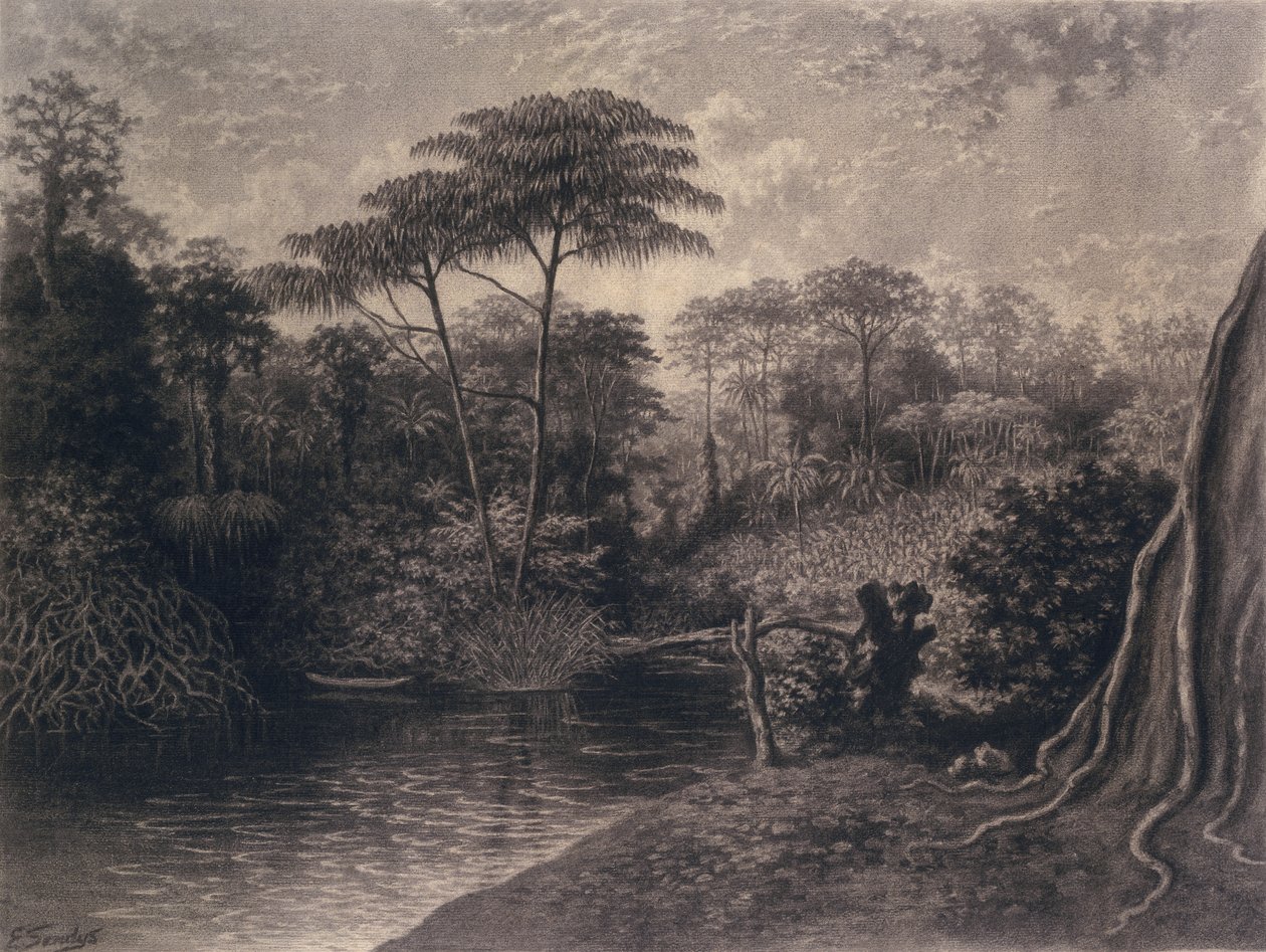 喀麦隆河的视图，非洲的Ambes湾，1877年（纸上的木炭） 作者 艾玛·桑迪斯（Emma Sandys）