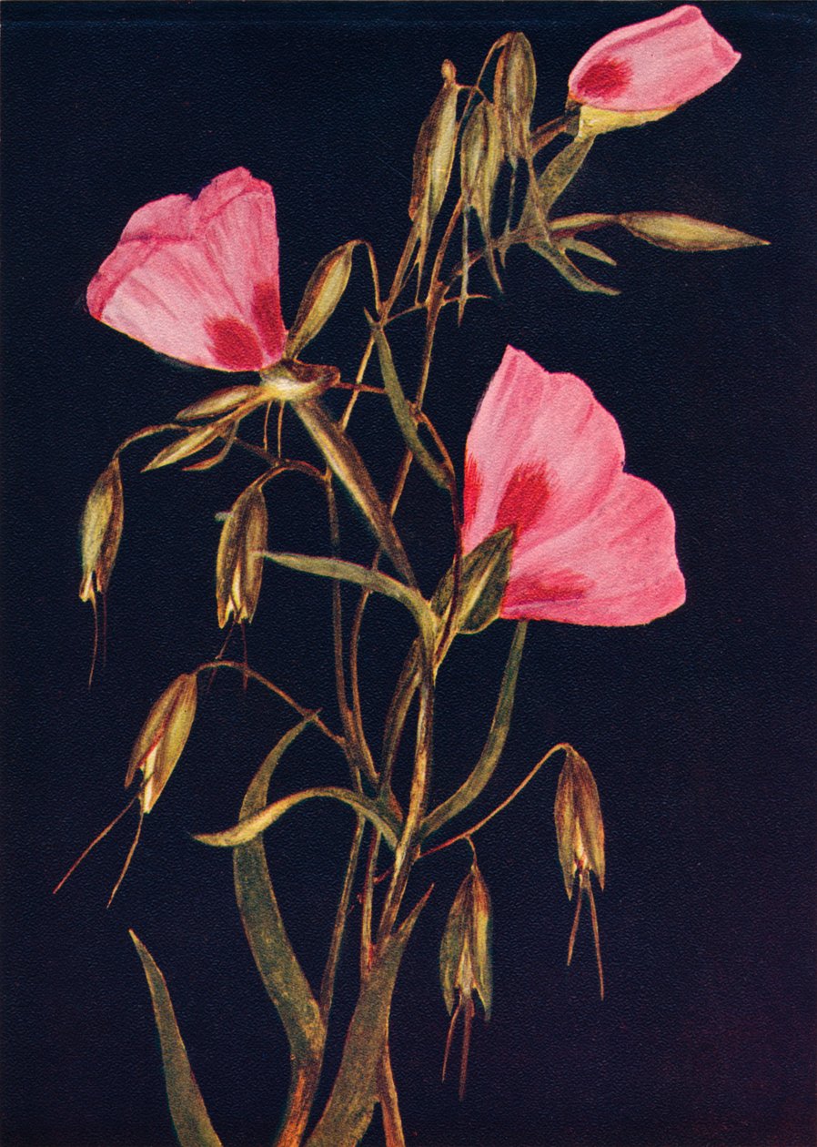 告别春天，c1915，1915年 作者 艾玛·格雷厄姆（Emma Graham）Clock