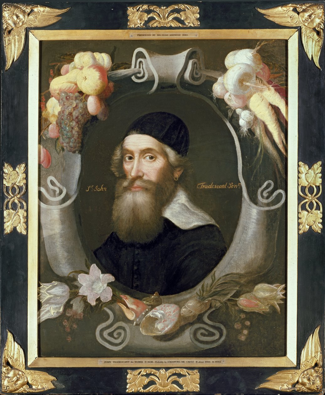John Tradescant the Elder，17世纪 作者 伊曼纽尔·德·克里茨（Emmanuel de Critz）