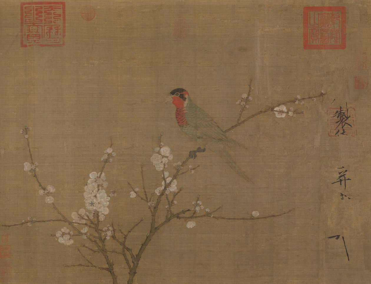 在一朵开花的杏树的五色长尾小鹦鹉 作者 慧宗皇帝