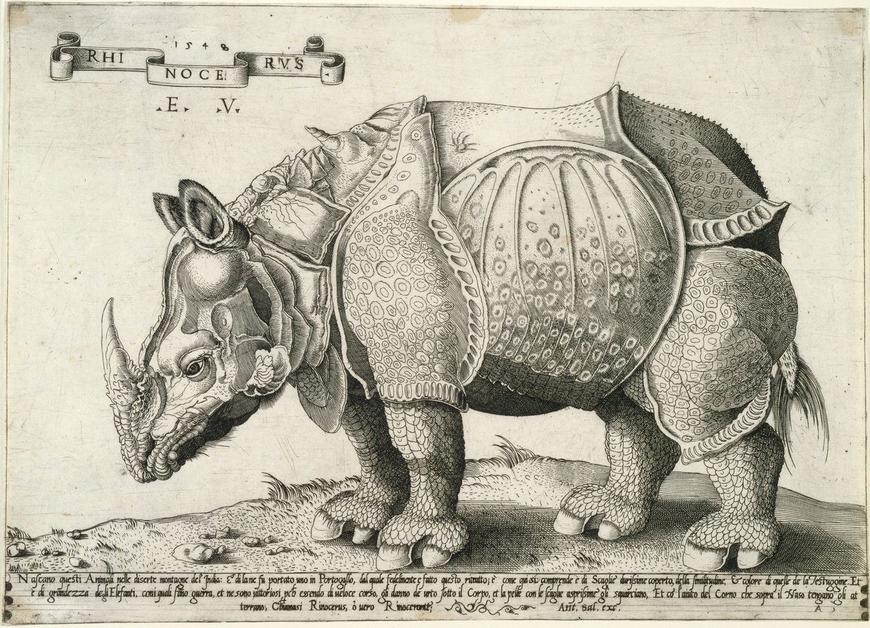 犀牛，1548 作者 Enea Vico