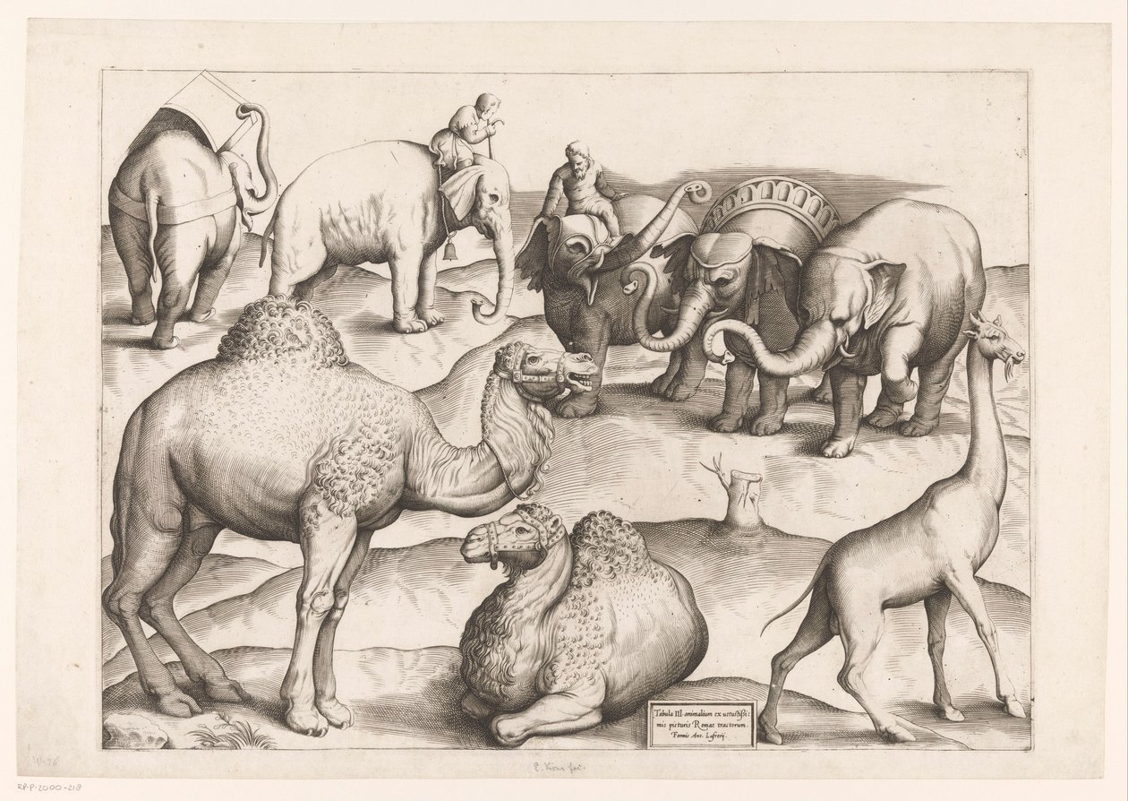 八种动物
古代壁画中的动物（系列名称）
壮丽的罗马壁画（系列名称） 作者 Enea Vico（归属于）