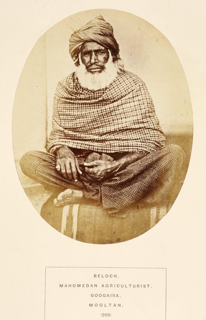 Beloch，Mahomedan农业学家，Googaira，Mooltan，来自印度人民，J. Forbes Watson，1868年出版（蛋白印刷品） 作者 英国摄影师