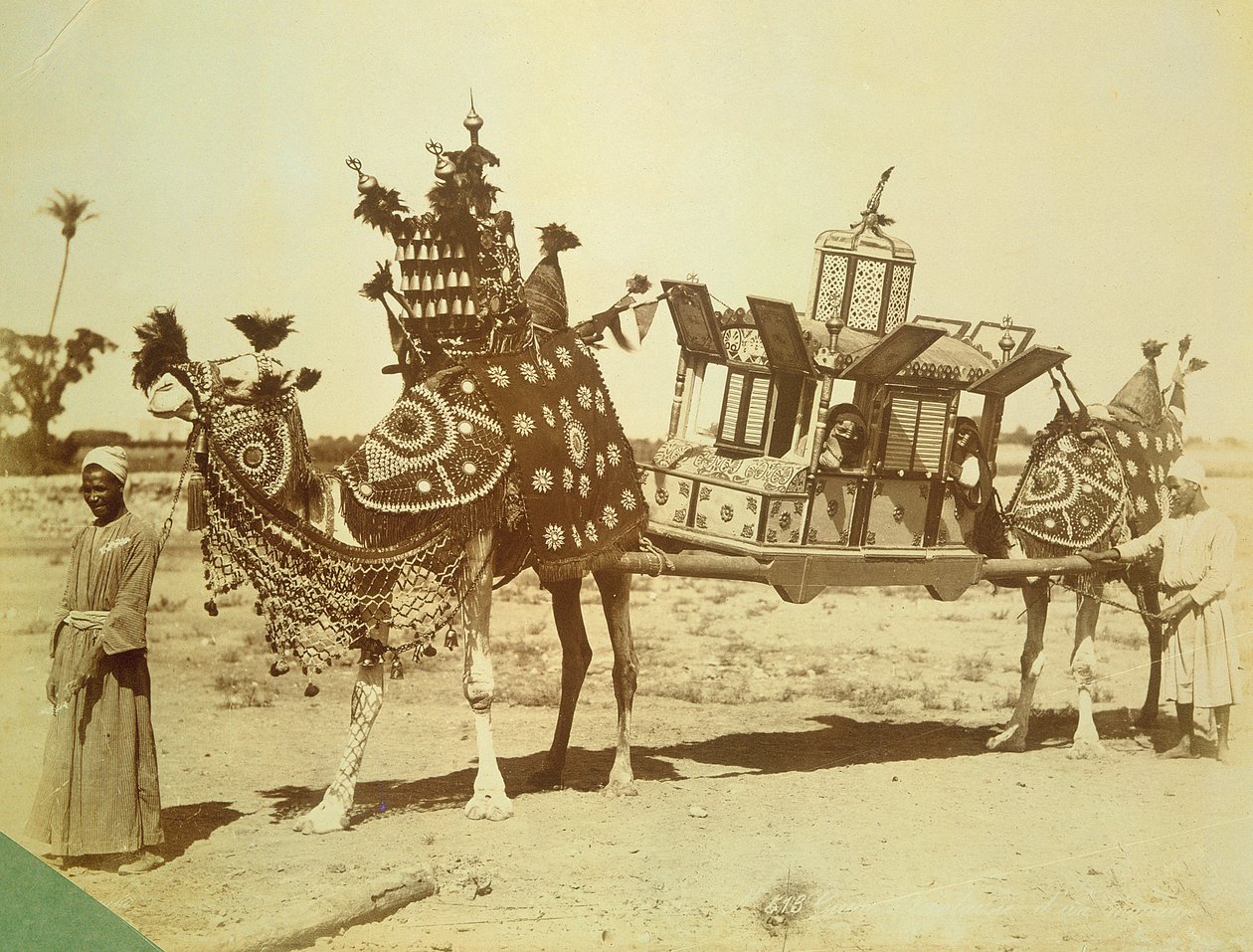 新娘Palanquin，开罗，埃及，c.1878 作者 英国摄影师