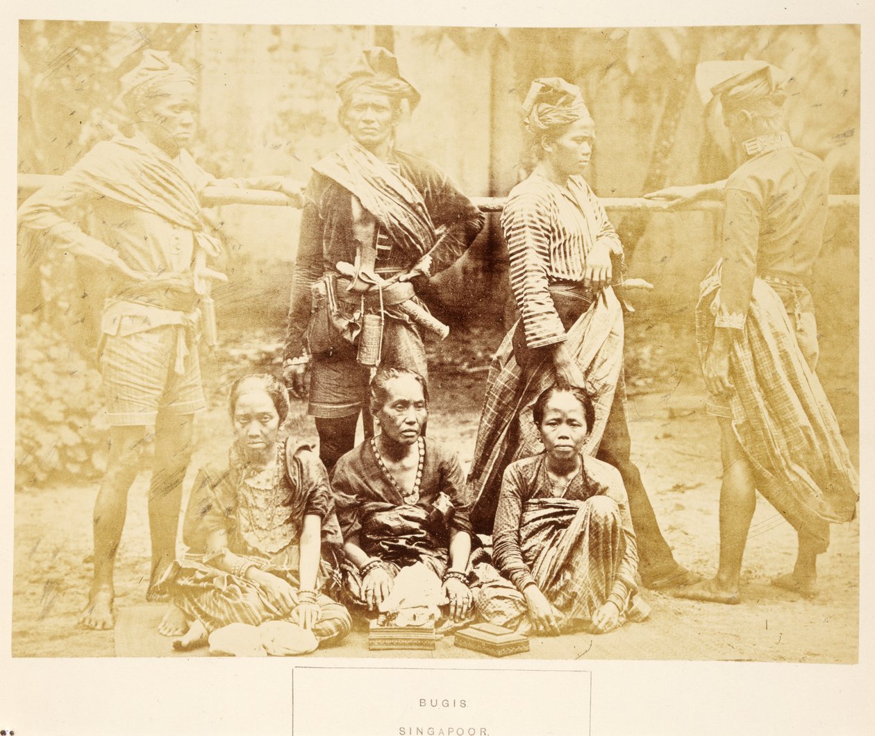 武吉士，新加坡，来自印度人民，J.福布斯沃森，1868年出版（蛋白印刷品） 作者 英国摄影师