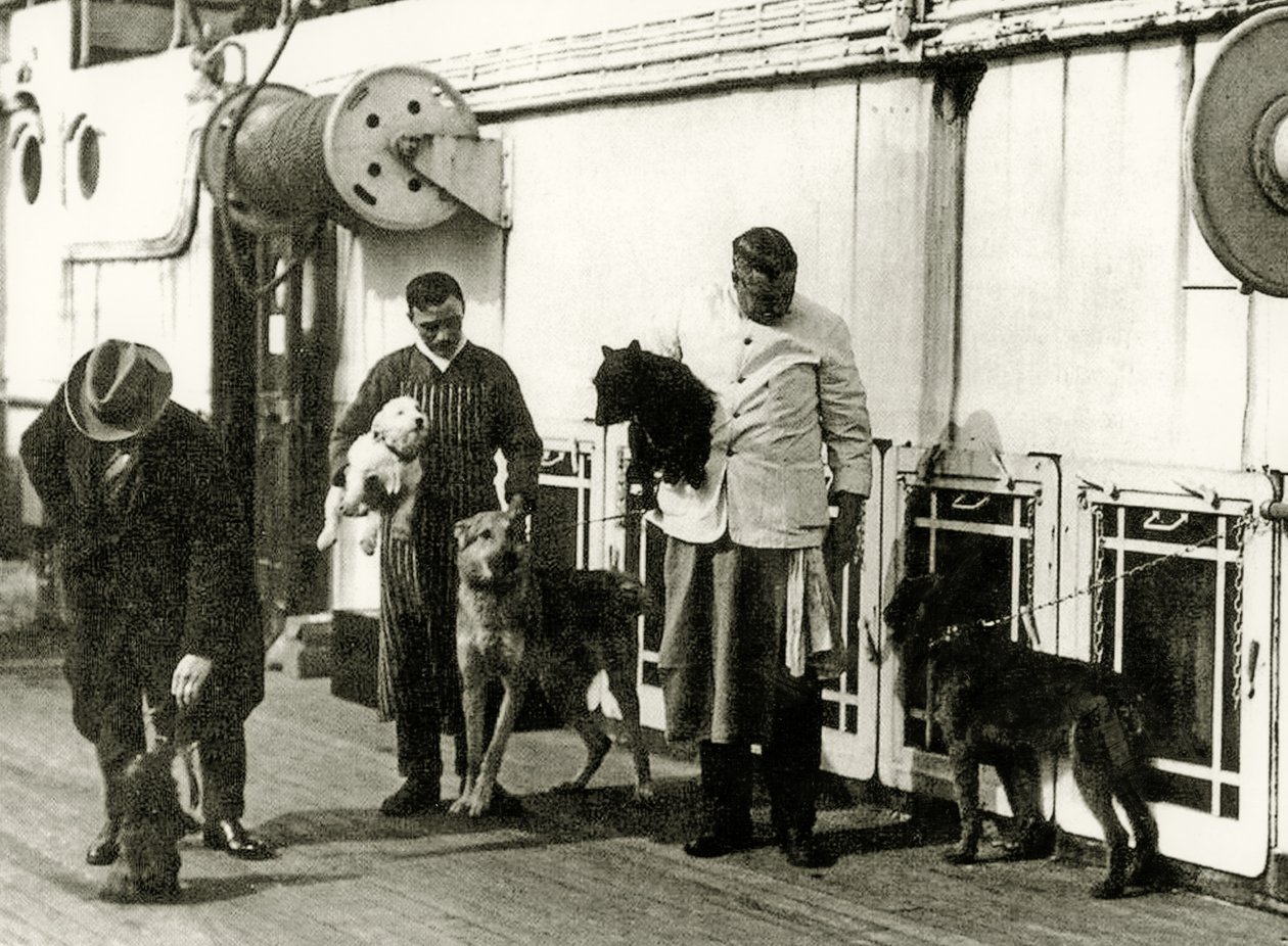 1912年泰坦尼克号船员照看狗 作者 英国摄影师