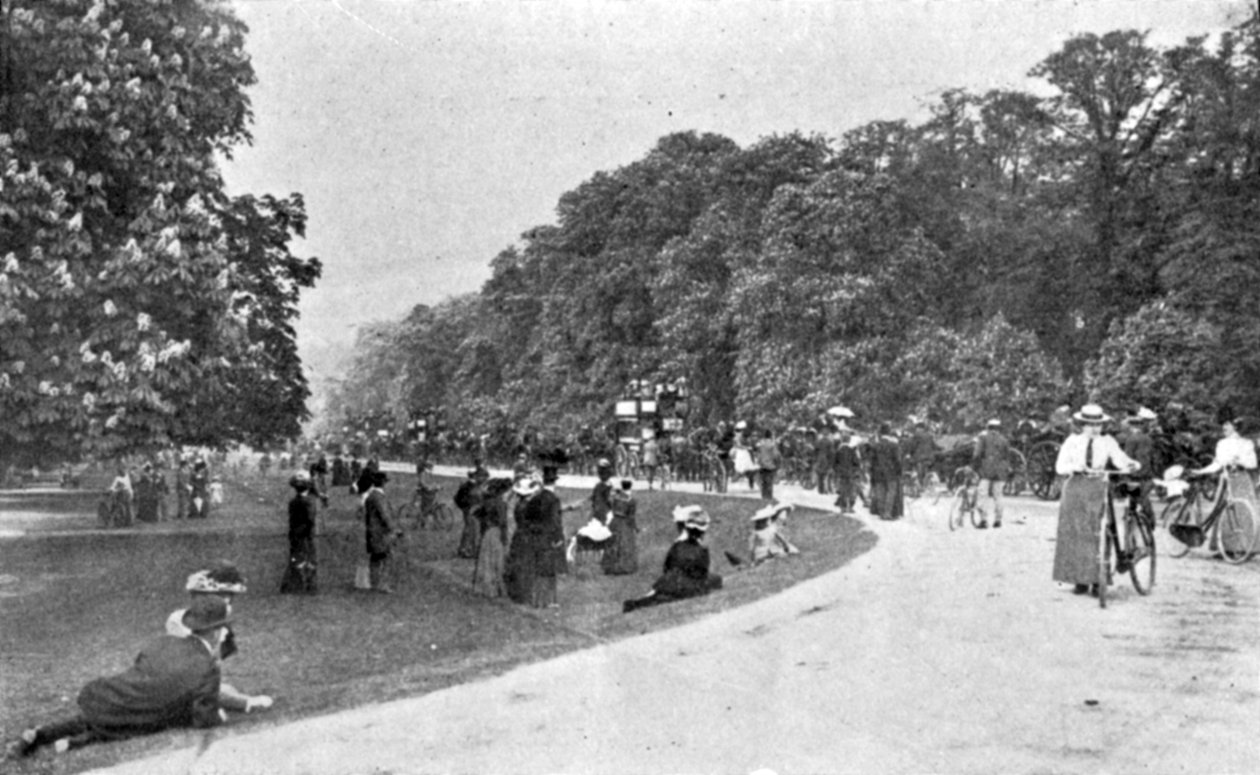 Bushey公园全视图，从国王的例证，1901年5月25日 作者 英国摄影师