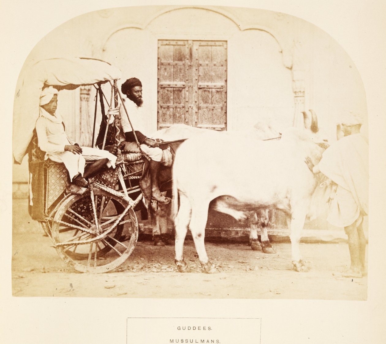 Guddees，Mussulmans，Rajpootana，来自印度人民，J. Forbes Watson，1868年出版（蛋白印刷品） 作者 英国摄影师
