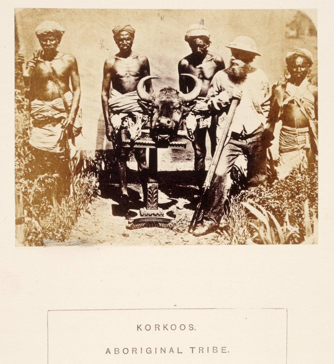 Korkoos，土着部落，Berar，来自印度人民，J. Forbes Watson，1868年出版（蛋白印刷） 作者 英国摄影师