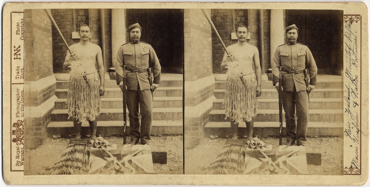 新西兰骑兵步枪。毛衣制服和本土服装，1897年（银色明胶印刷） 作者 英国摄影师