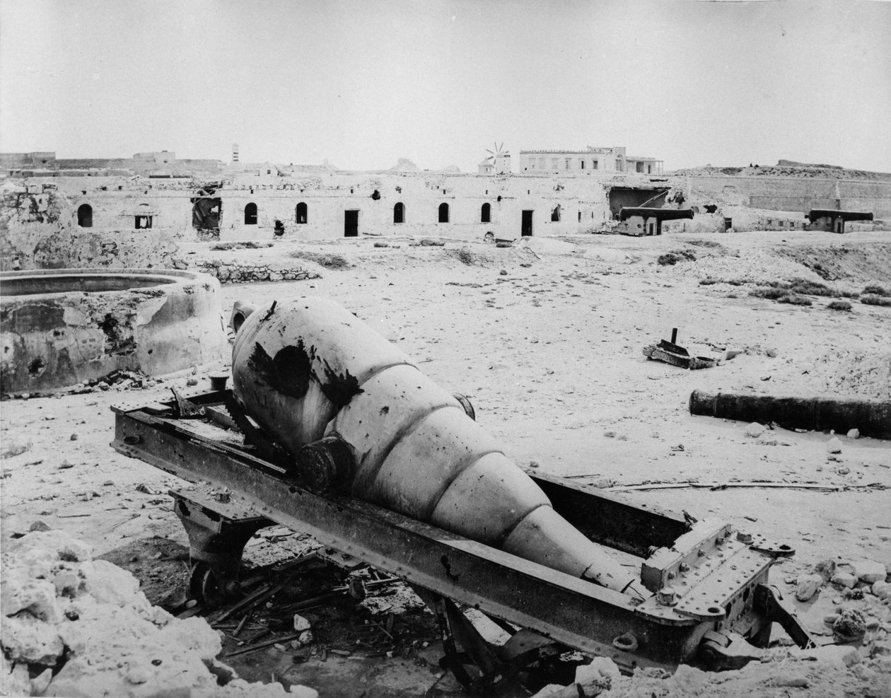 1882年在梅克斯堡的废墟和炮兵 作者 英国摄影师