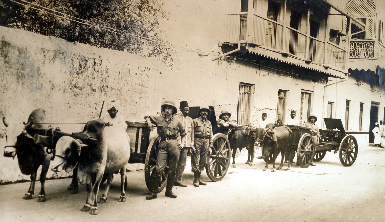 1914年桑给巴尔，“打捞的英国枪仍然有用” 作者 英国摄影师