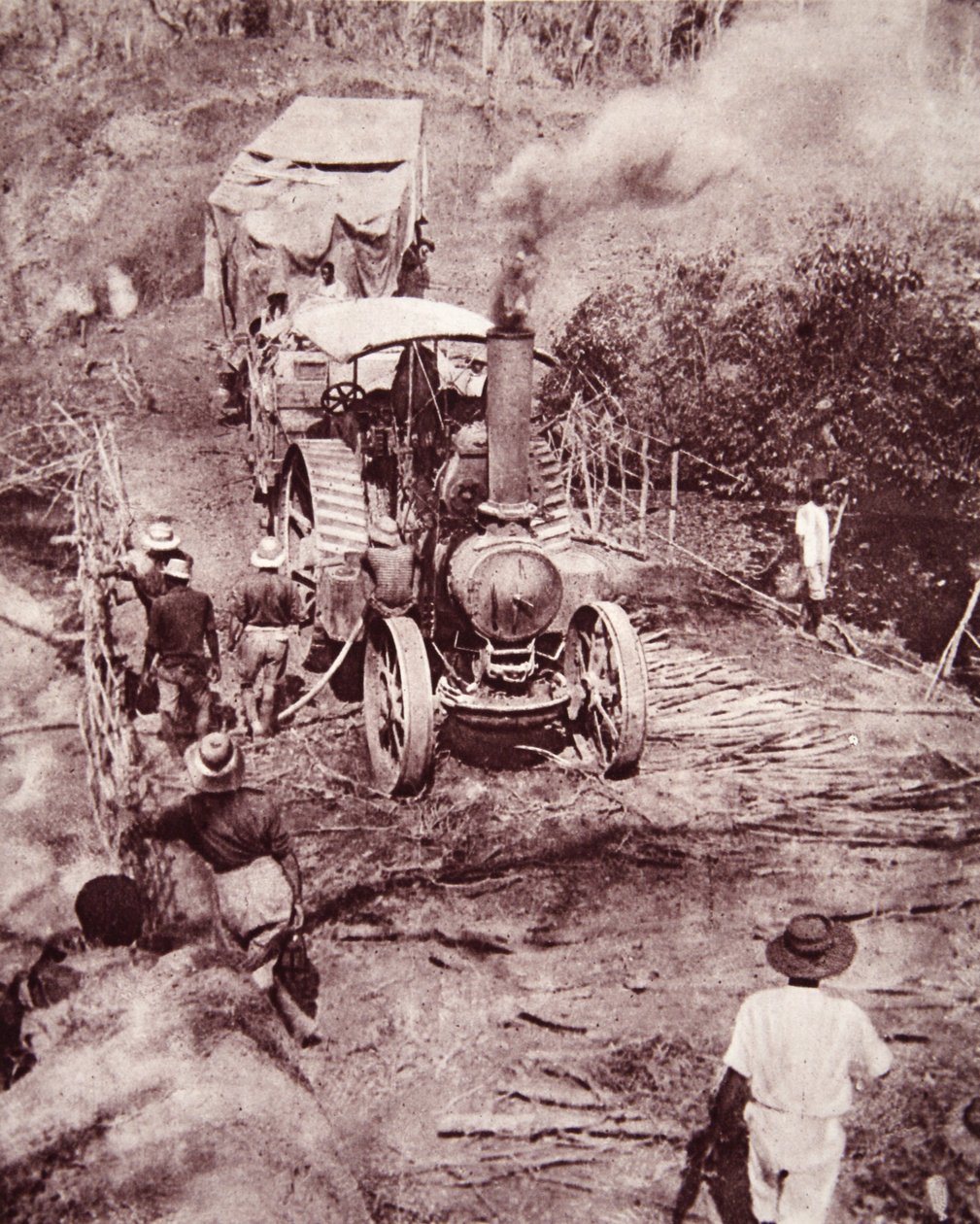 Mimis陆路徒步前往坦噶尼喀湖，插图来自“战争新闻报”，1917年1月31日（棕褐色照片） 作者 英国摄影师