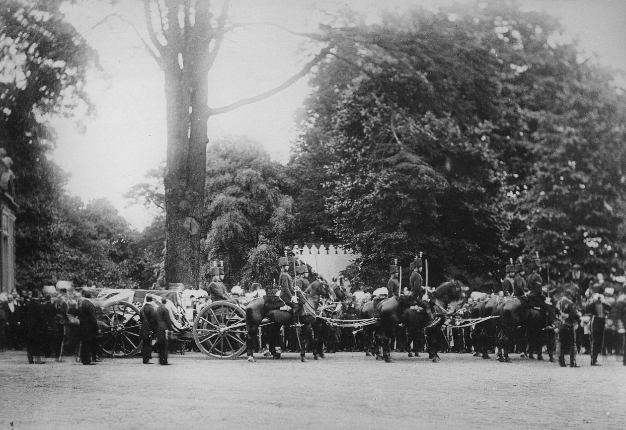 Prince Imperials Funeral Cortege，Camden Place，1879年7月12日 作者 英国摄影师