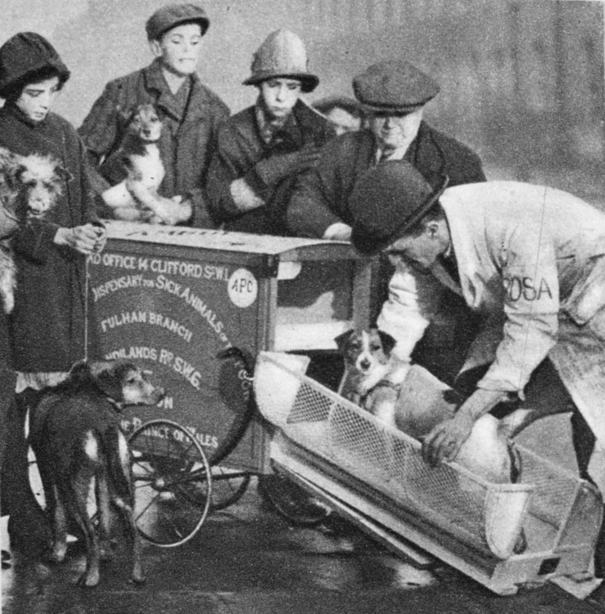 1926年至27年出版的“来自奇妙的伦敦的病人动物药房富勒姆分会”的兽医（照相凹版） 作者 英国摄影师