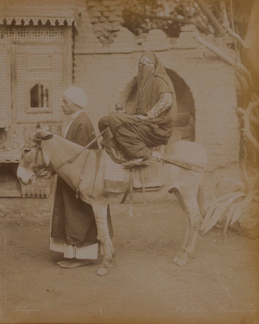 驴的女人，开罗，1893年 作者 英国摄影师