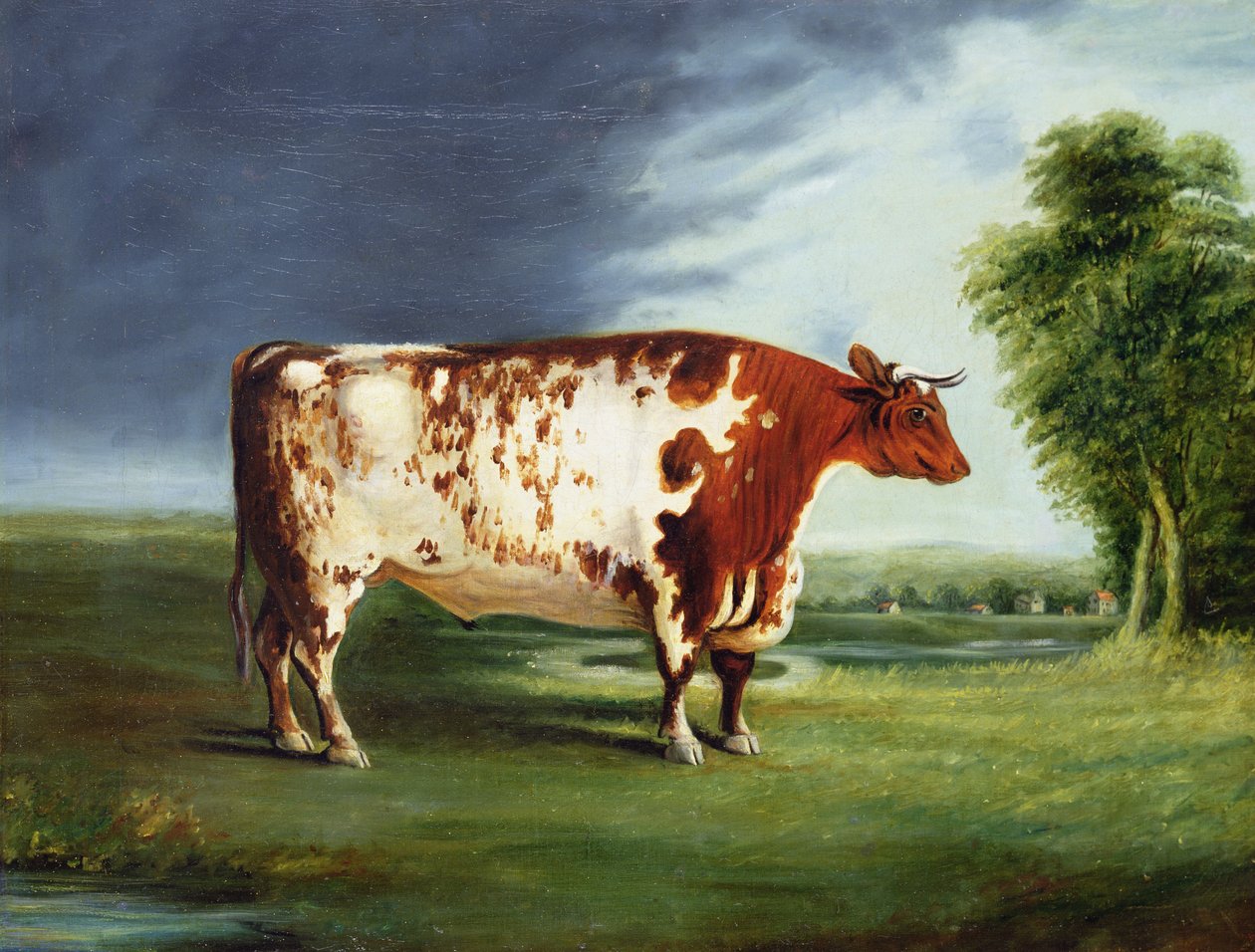 公牛，可能是达勒姆短角，1820年 作者 英语学校