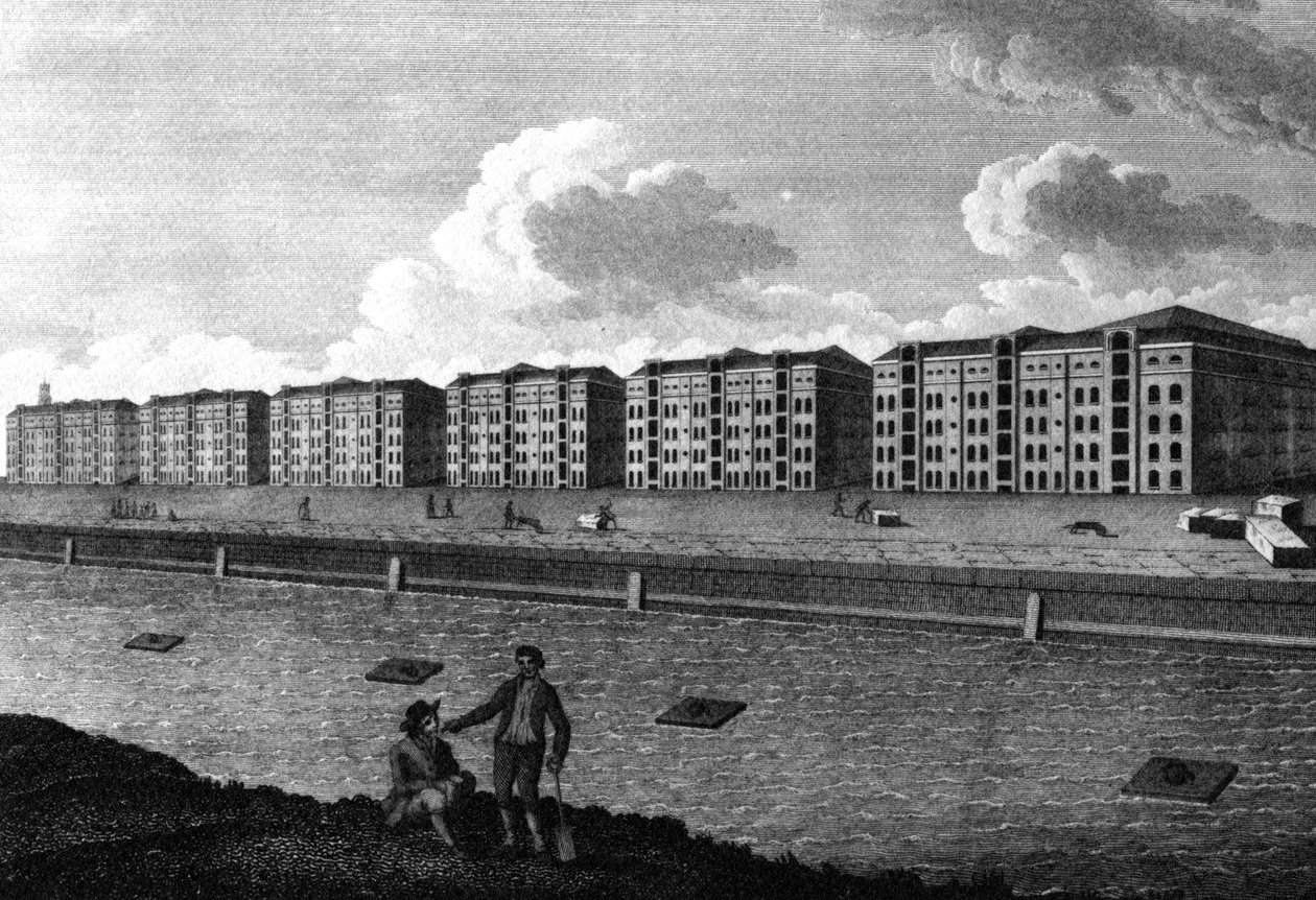 1803年仓库和西印度码头的视图 作者 英语学校