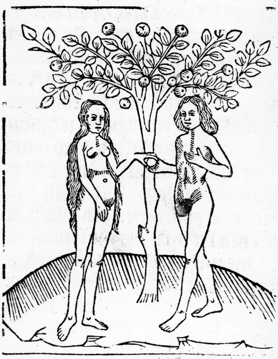 亚当和夏娃，来自&39;Speculum Vitae Christi&39;的插图，1491年 作者 英语学校