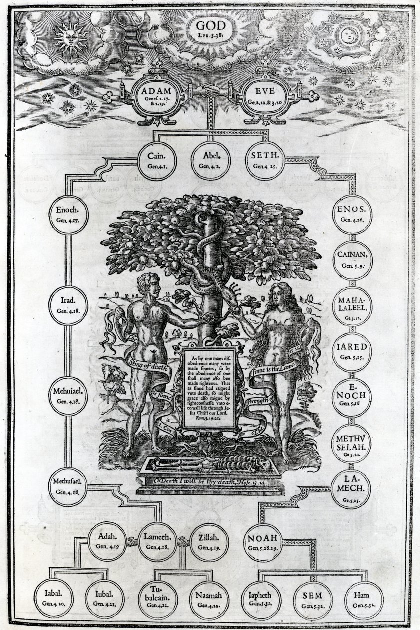 亚当和夏娃的家谱，1556年 作者 英语学校