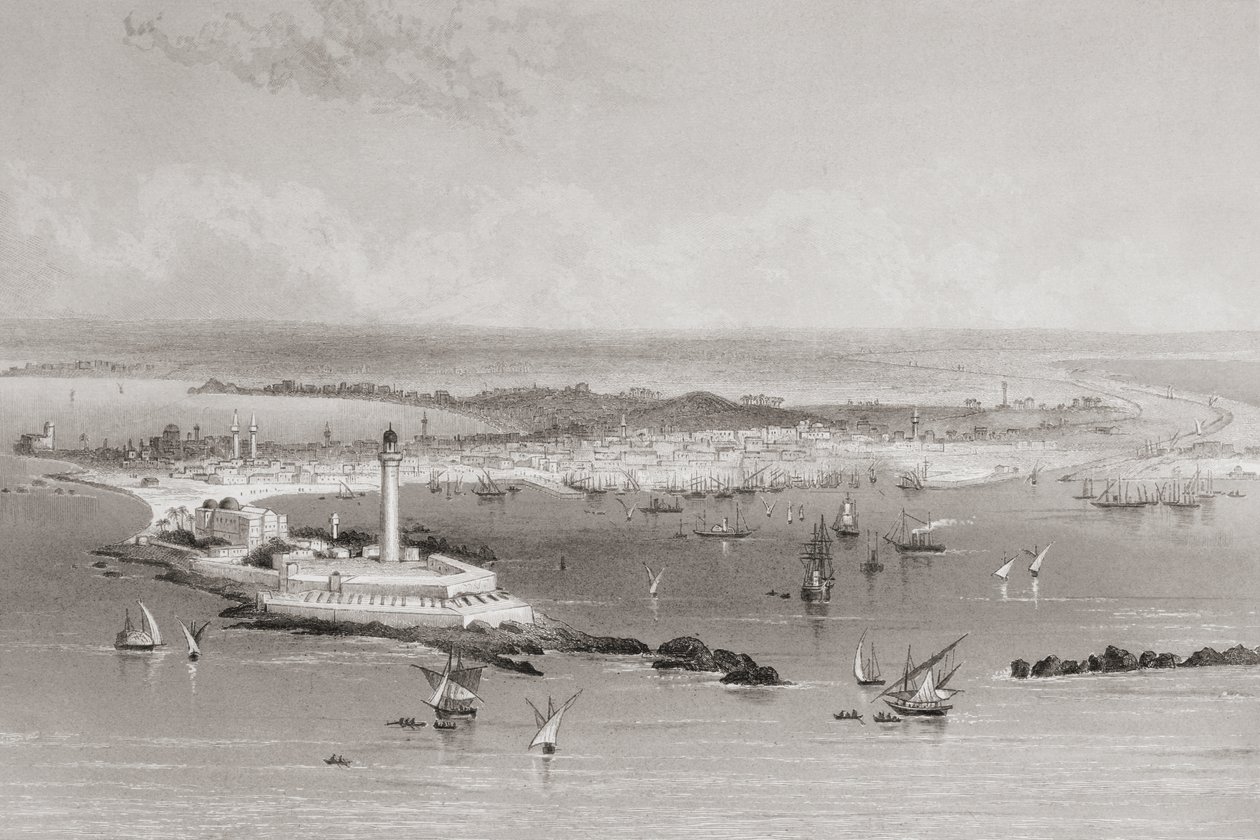 亚历山大，埃及，1883年 作者 英语学校