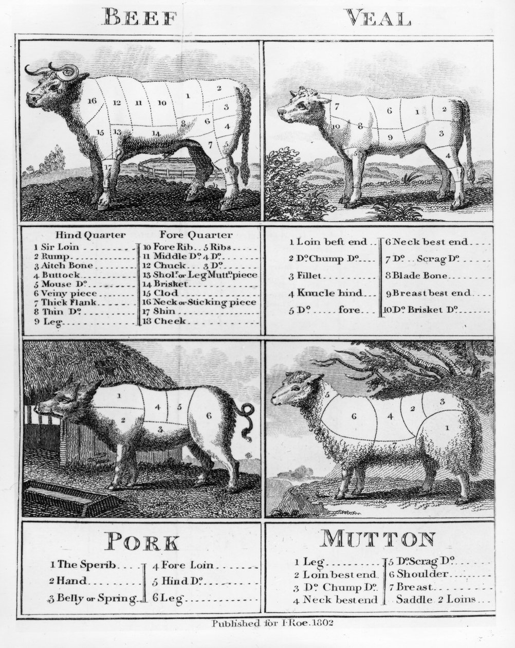 牛肉，小牛肉，猪肉和羊肉切块，1802 作者 英语学校