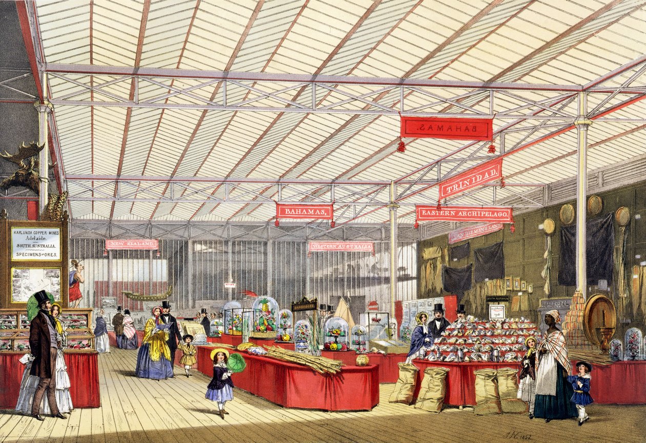 殖民地产品参加1851年的大展，来自Dickinsons综合图片（彩色版画） 作者 英语学校