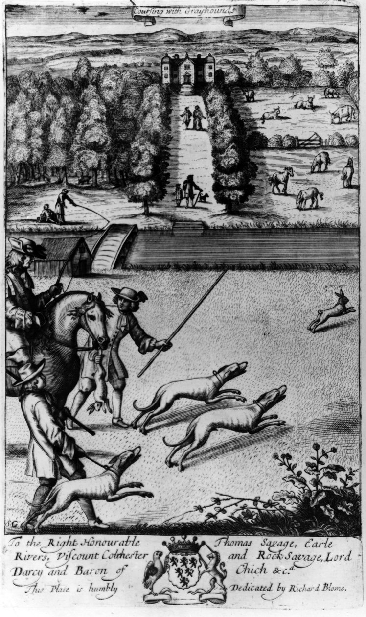与Greyhounds一起训练，来自1686年Richard Blome出版的“The Gentleman&39;s Recreation” 作者 英语学校