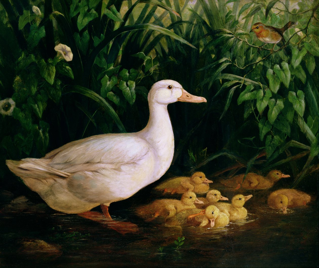 鸭和小鸭，1889年 作者 英语学校