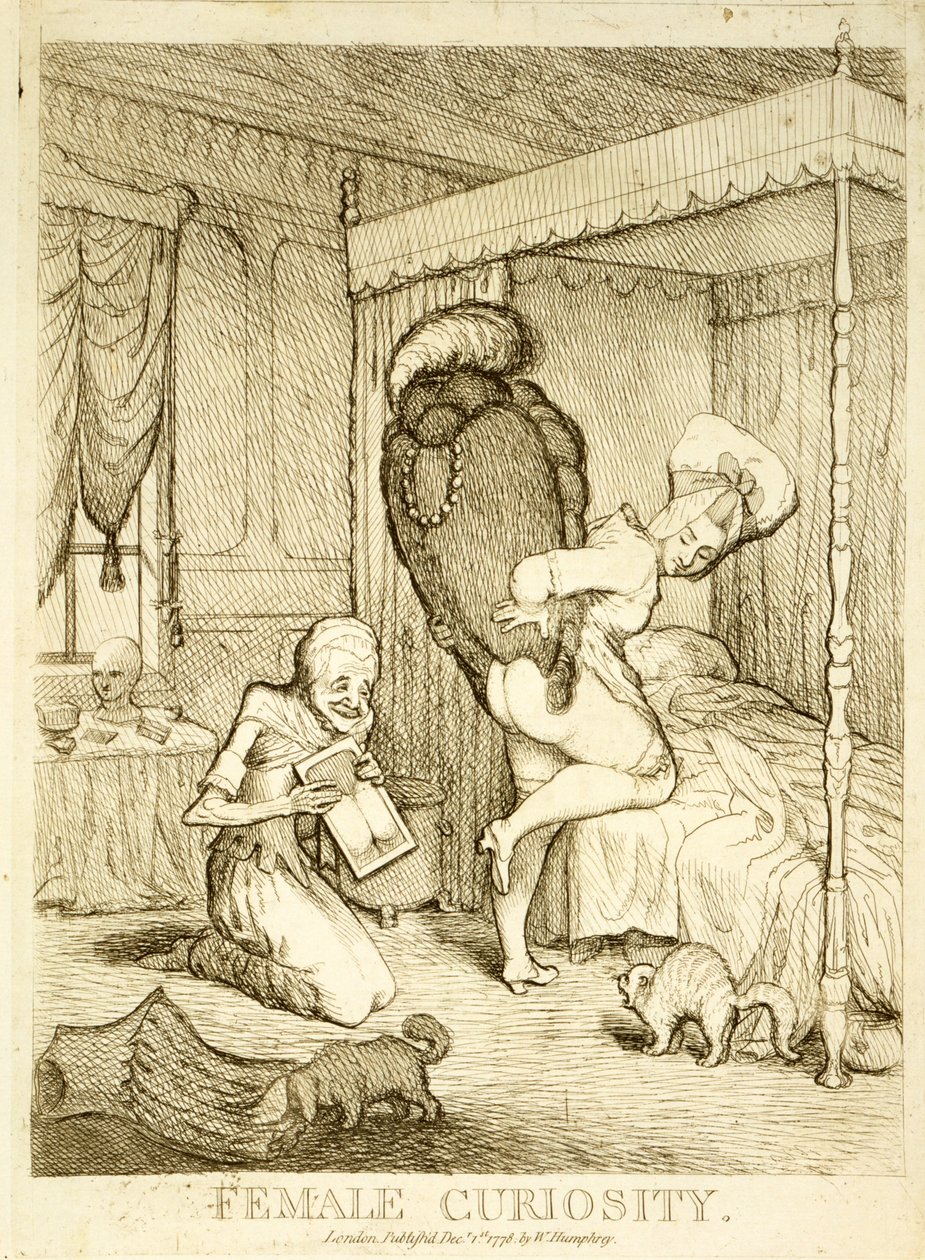 女性好奇心，1778年 作者 英语学校