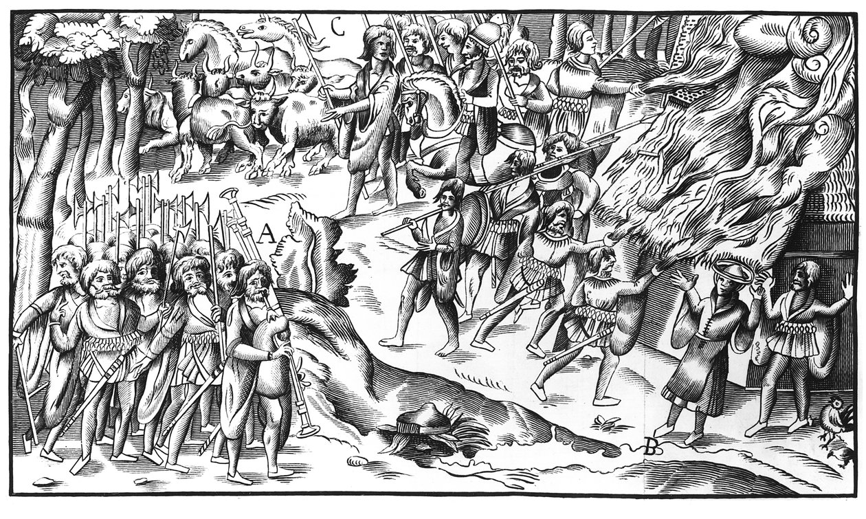爱尔兰牛袭击英国种植园，1581年 作者 英语学校