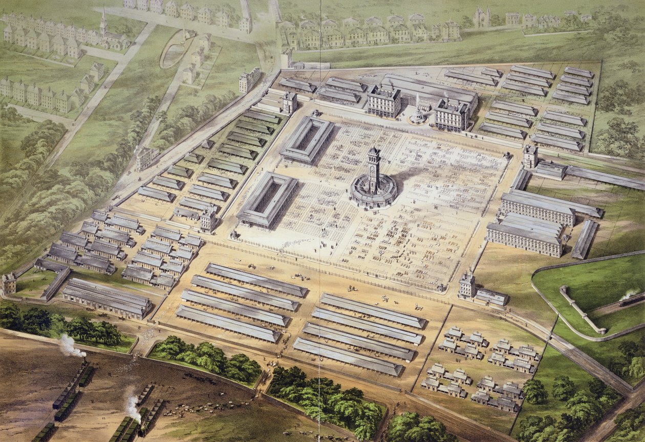 1855年新大都会牛市的等轴视图 作者 英语学校