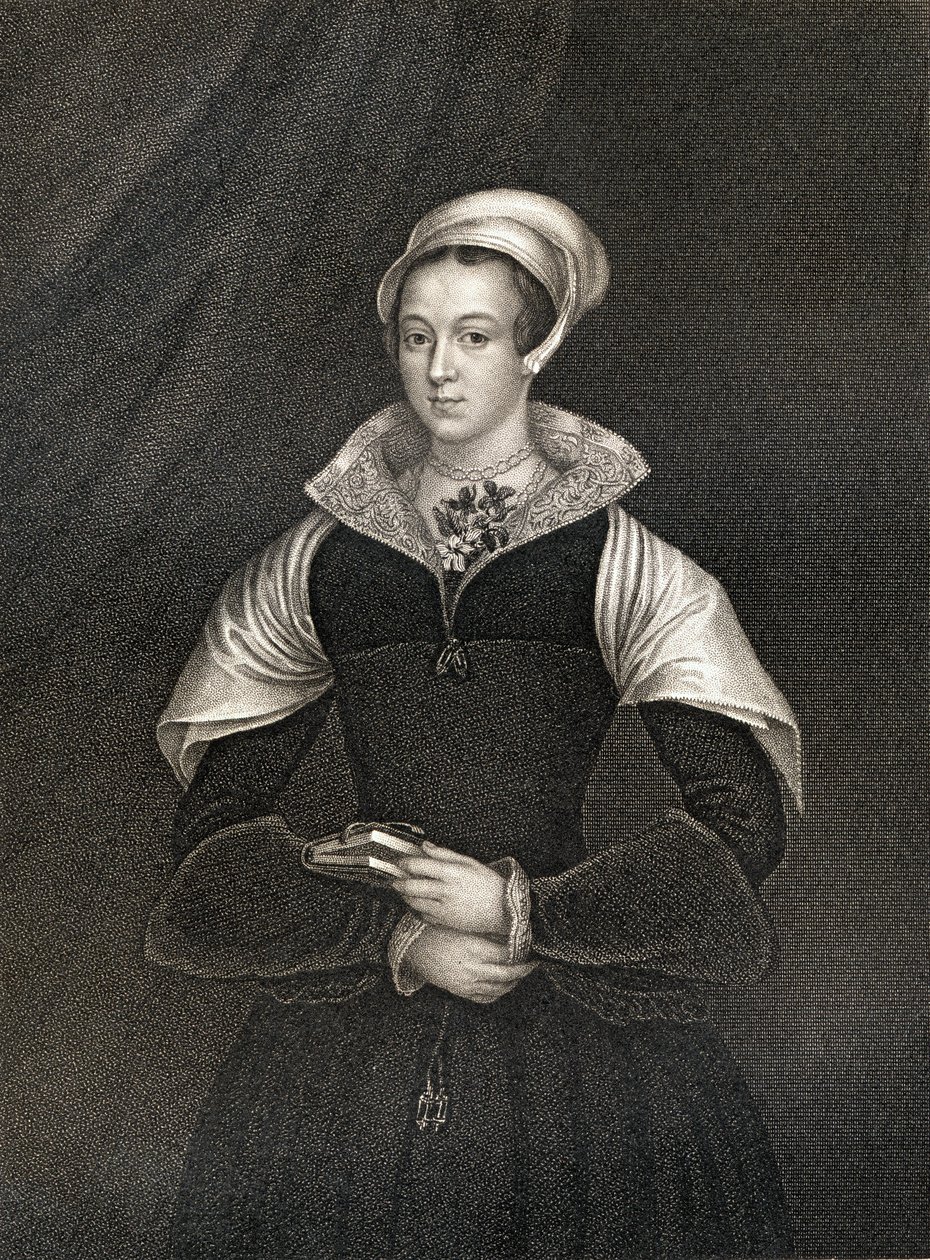 Lady Jane Gray（1537-54），来自&39;Lodge&39;s British Portraits&39;，1823年 作者 英语学校