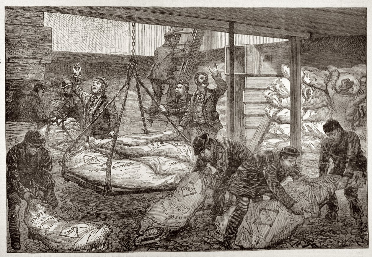 从1881年11月19日的“伦敦新闻报”中，在西南印度码头，米尔沃尔从悉尼登陆澳大利亚冷冻肉 作者 英语学校