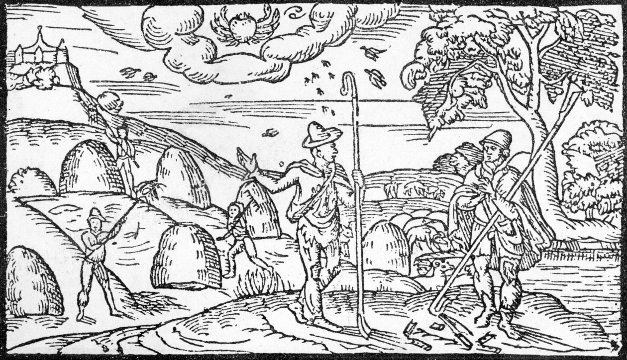 6月份，来自Edmund Spenser（1552-99）的“Shepheardes日历”，原始传真于1579年出版 作者 英语学校