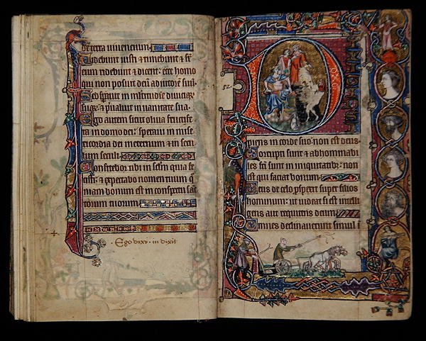 1-2005号女士，ff.76v-77r：大卫和傻瓜，历史最初来自Macclesfield Psalter，使用Sarum，East Anglia，c.1330 作者 英语学校