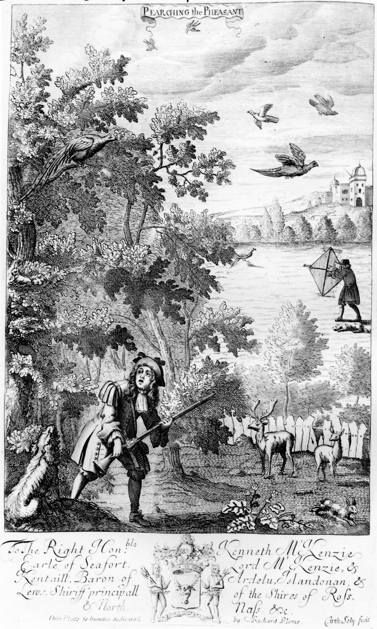 1686年由理查德布洛姆出版的“绅士的娱乐”中的雉鸡 作者 英语学校