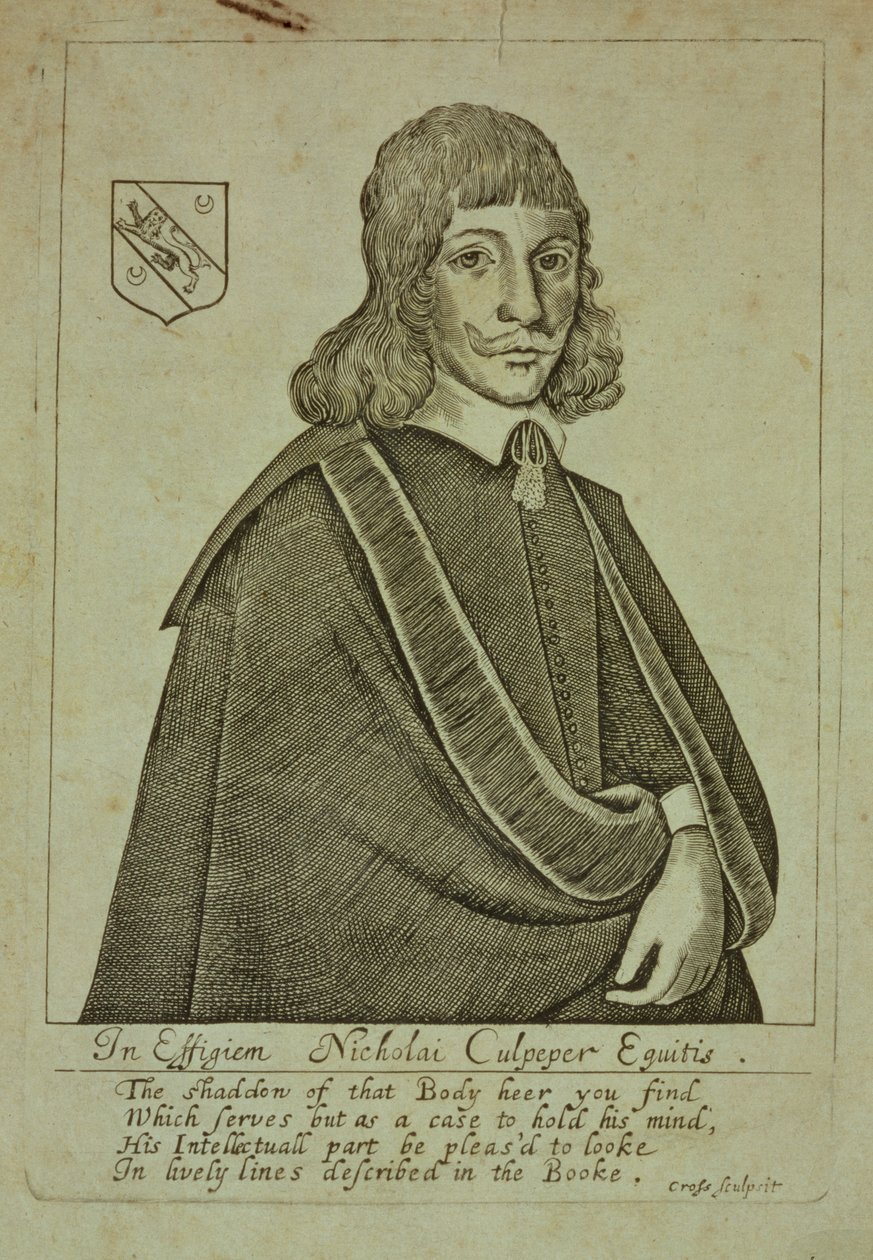Nicholas Culpeper（1616-54）的肖像，来自A物理目录，或伦敦配药的翻译，由Thomas Cross刻，1649年 作者 英语学校