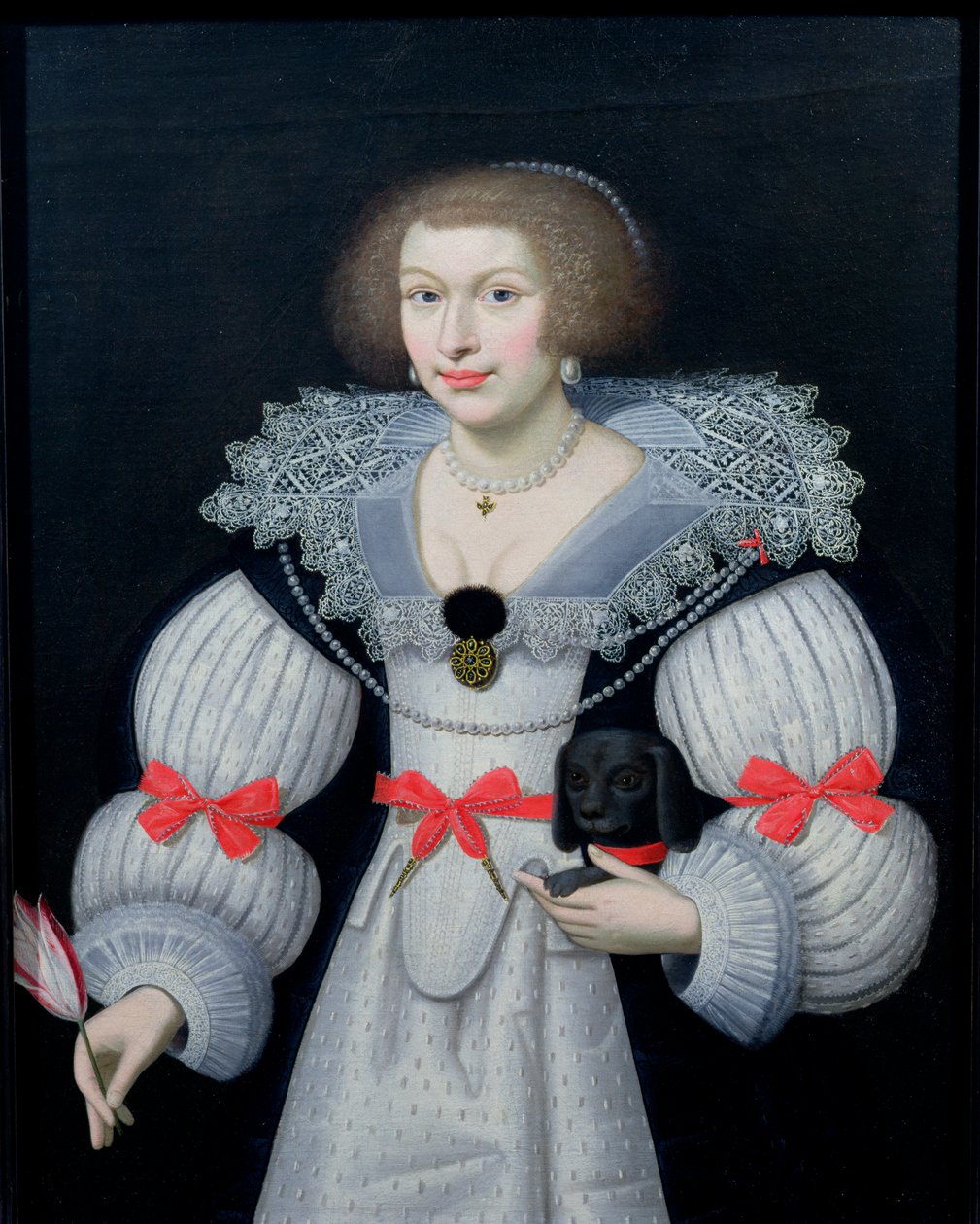 拿着狗和郁金香的夫人的画象，c.1620 作者 英语学校