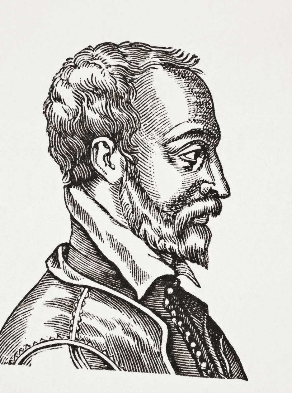 Remy Belleau，1878年 作者 英语学校