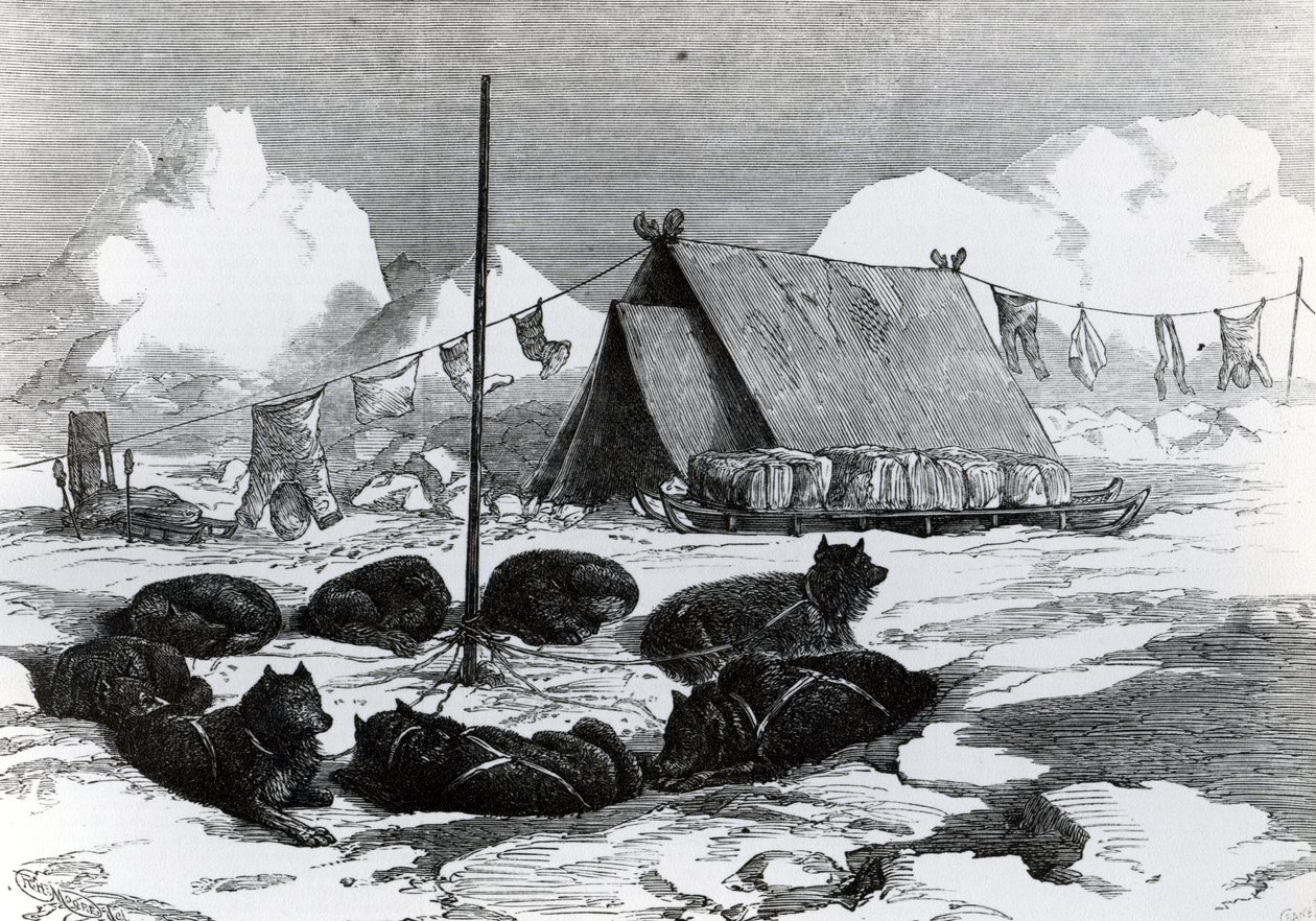 雪橇旅行：露营时系紧狗的方法，1876年 作者 英语学校