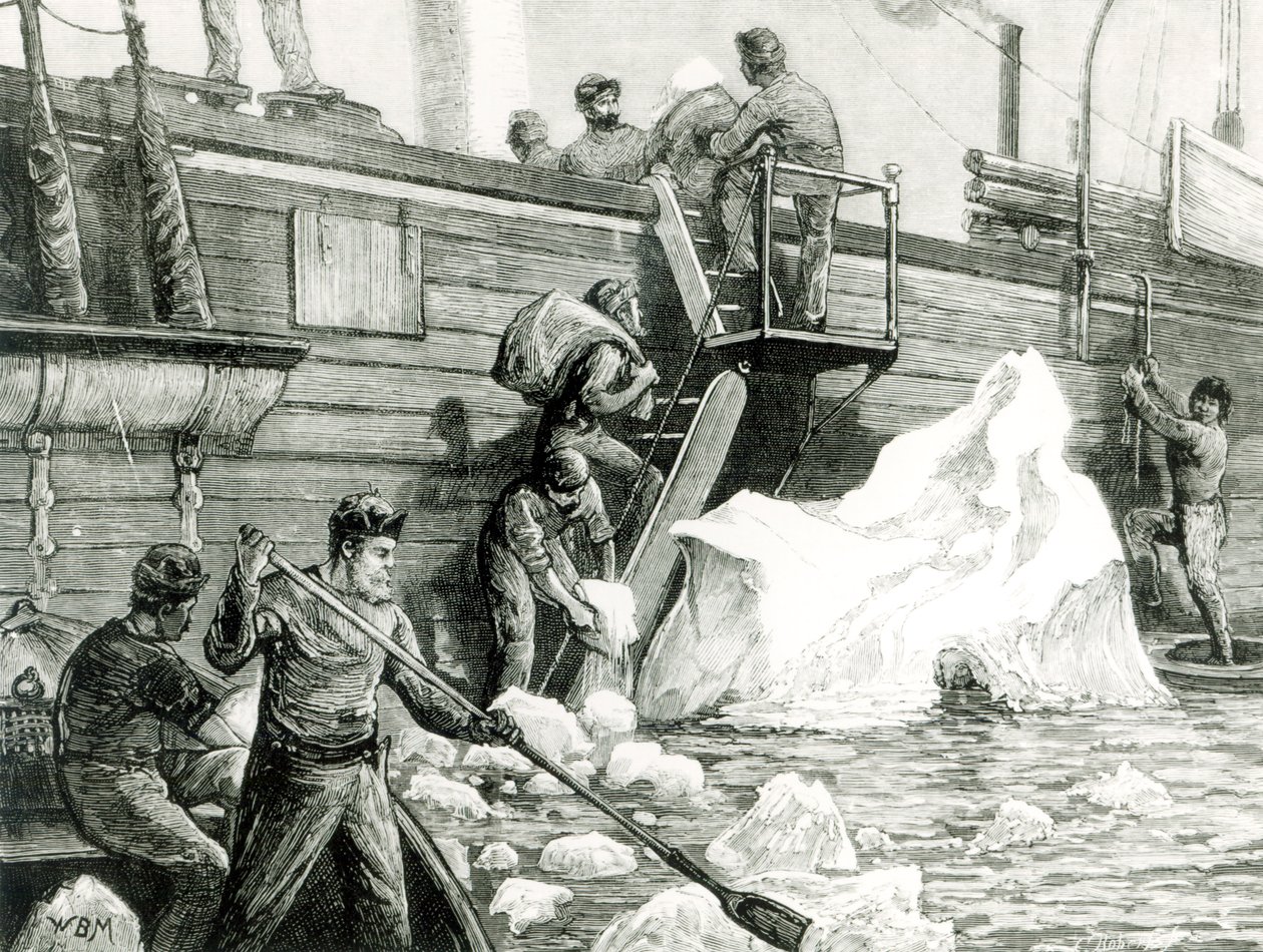 1875年9月11日，北极远征从冰山流水，从&39;图形&39; 作者 英语学校