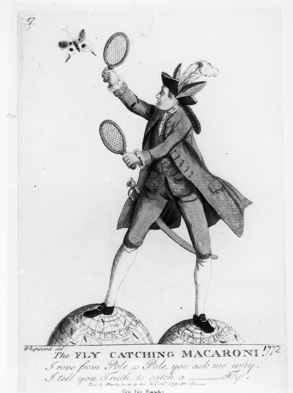 Fly Catching Macaroni，由Whipcord，酒吧雕刻。由N. Darly撰写，1772年7月12日 作者 英语学校